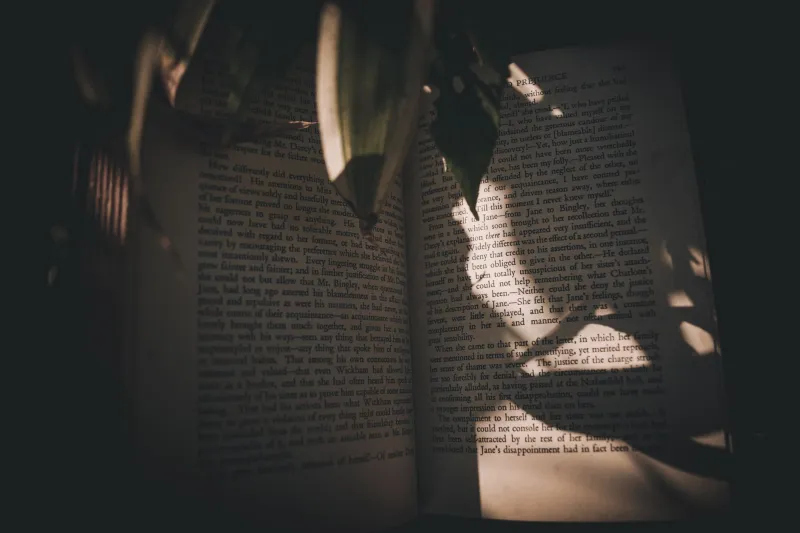 The Novel That Will Not End: American Fiction's New Architecture of Refusal