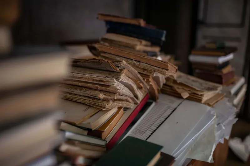 Stolen Light: The Shadow Networks Keeping Endangered Literary Works Alive